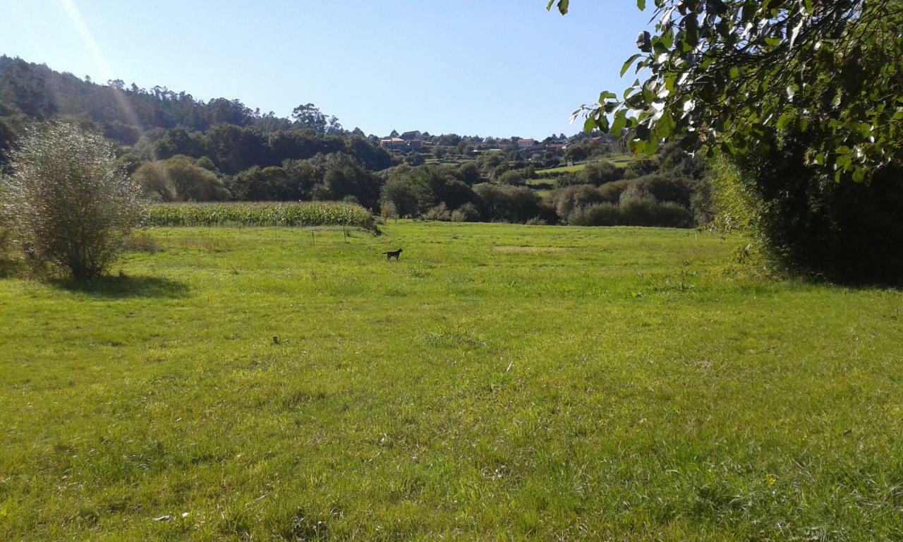 O Curralino Country house *